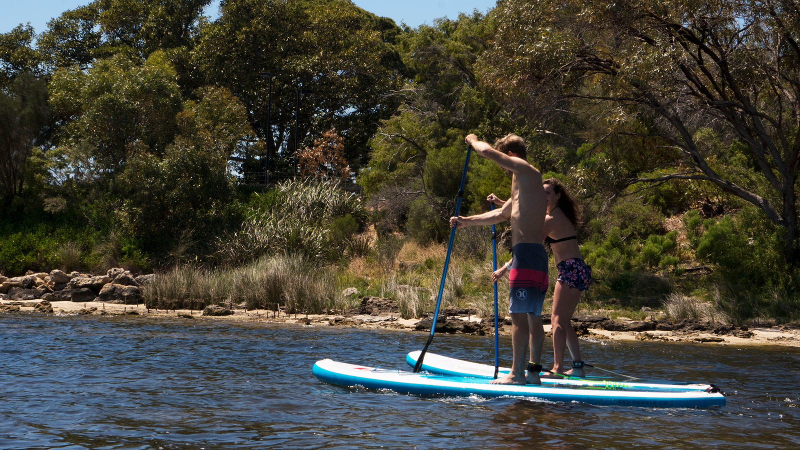 stand up paddle board technique stroke