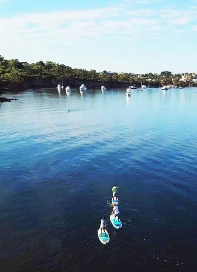 GROUP SUP SESSIONS at Point Walter, Bicton. And Shoalwater Marine Park ( Safety Bay & Penguin Island, Rockingham )