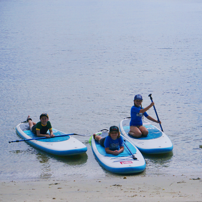 GROUP SUP SESSIONS at Point Walter, Bicton. And Shoalwater Marine Park ( Safety Bay & Penguin Island, Rockingham )