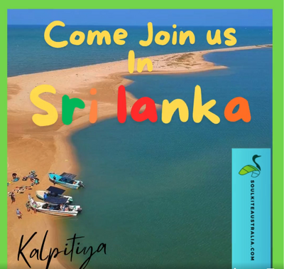 SoulKite KiteClub Sri Lanka Winter Escape